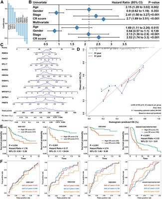 Construction of cuproptosis-related gene signature to predict the prognosis and immunotherapy efficacy of patients with bladder cancer through bioinformatics analysis and experimental validation